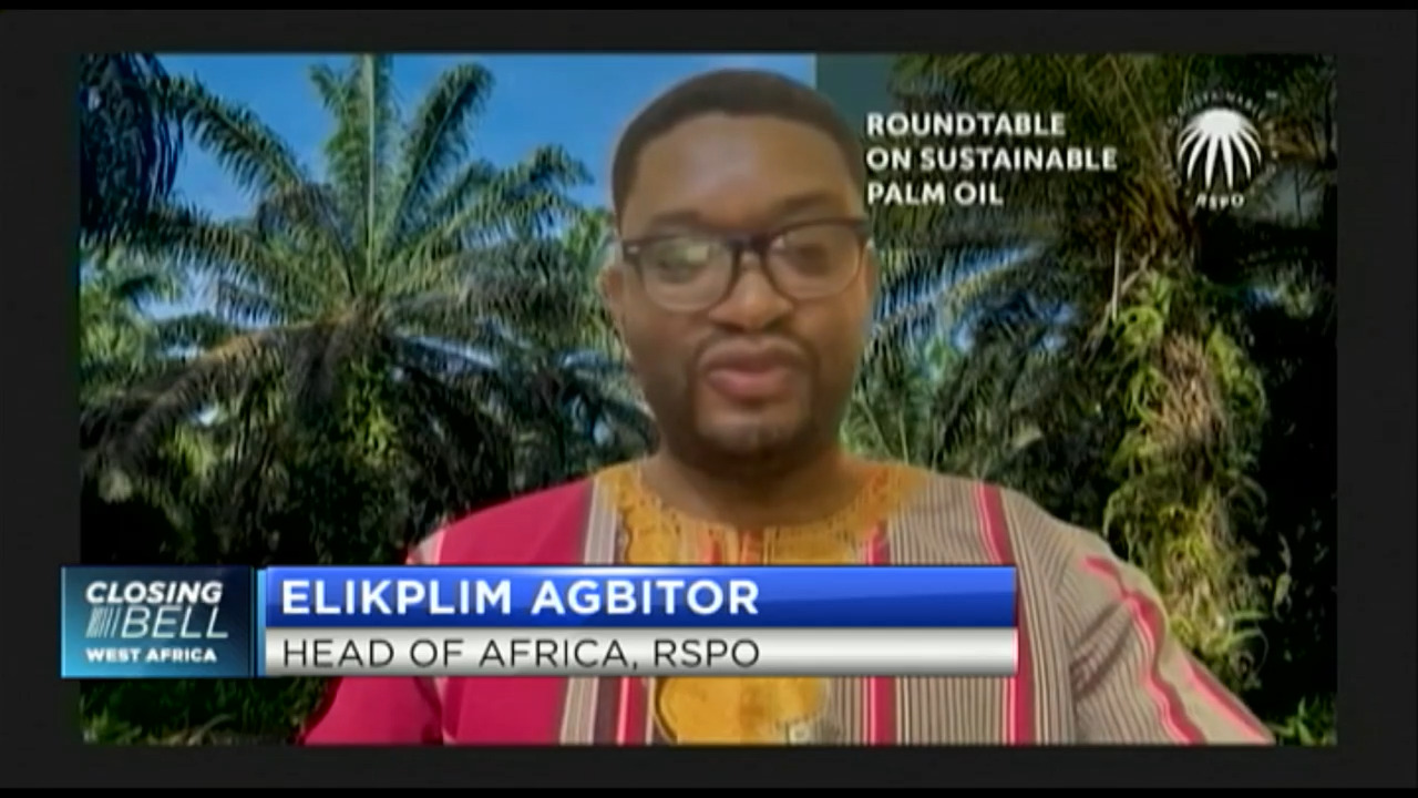 Driving sustainable palm oil production in Africa