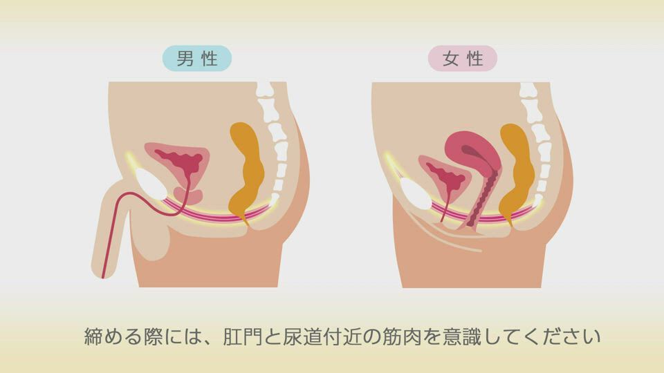 はじめての骨盤底筋トレーニング（chapter3）｜スペシャル動画｜UUI