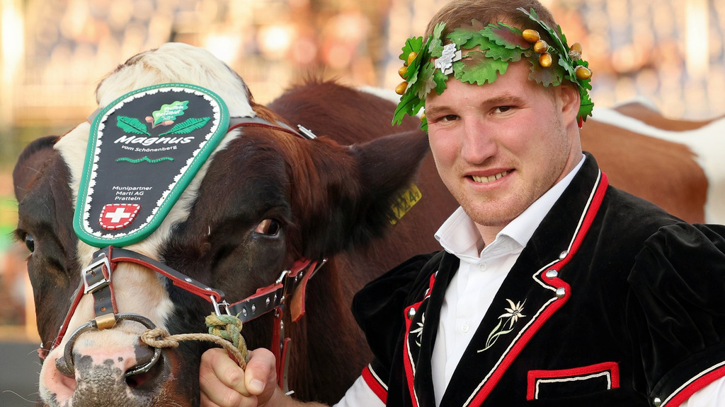 «Über Geld redet man im Schwingsport nicht»