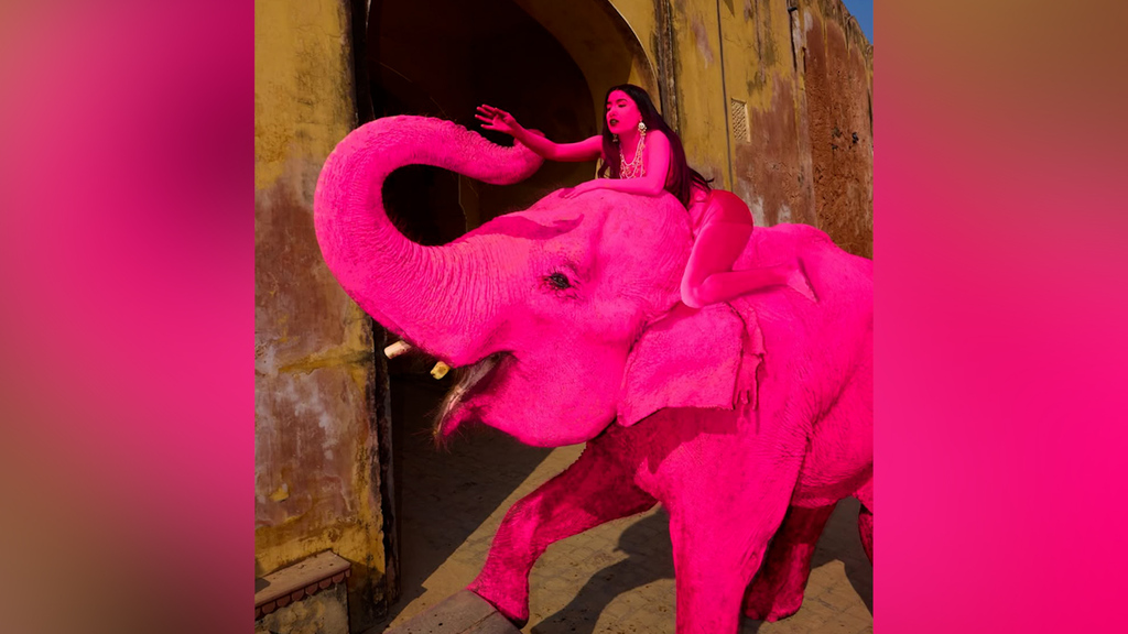 Kunst oder Tierquälerei? Rosa bemalter Elefant sorgt für Shitstorm – Behörden ermitteln
