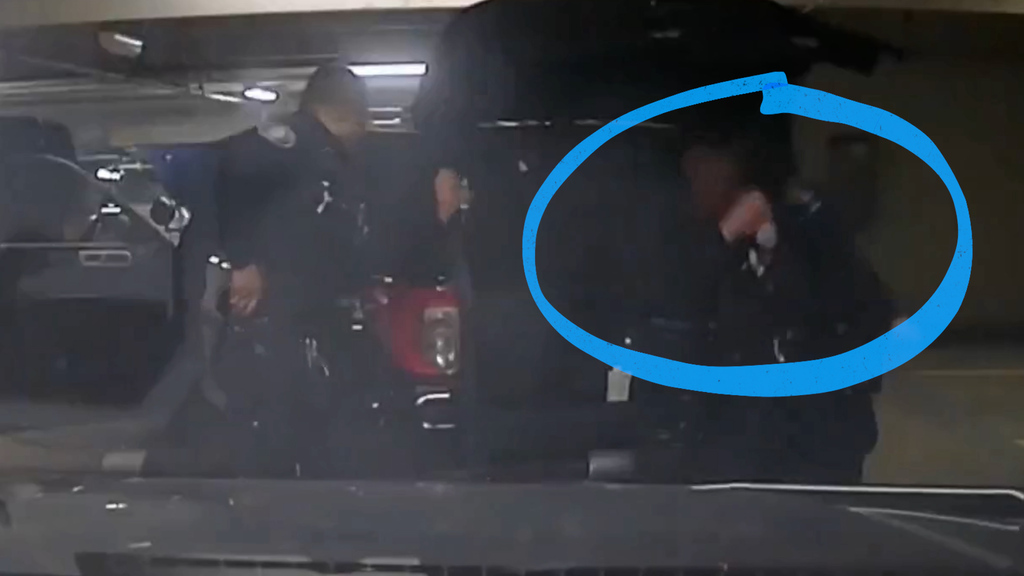 Beamter schiesst Kollegen an: Polizeivideo aus Kalifornien sorgt für Entsetzen
