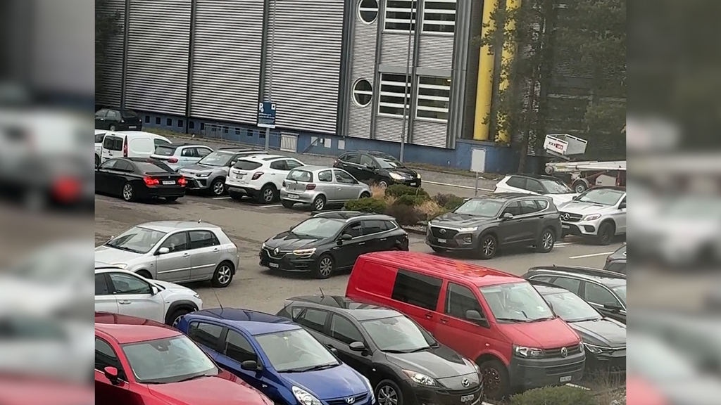 Leute machen Grosseinkauf im LIDL für 10 CHF Rabatt