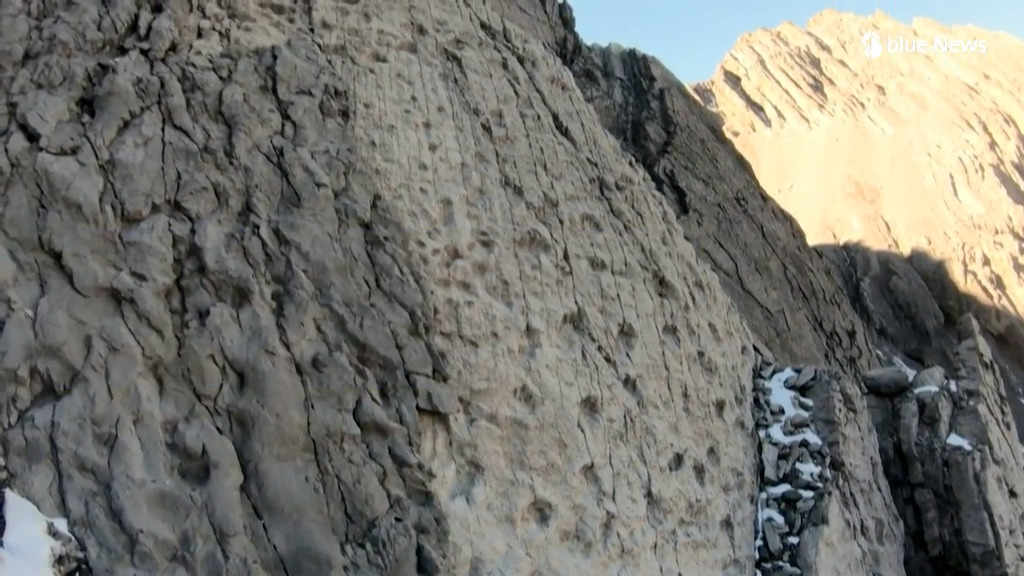 Des empreintes de dinosaures découvertes en Italie !