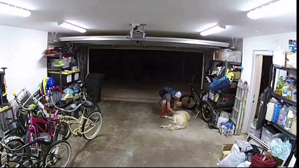 Dieb trifft auf miesesten Wachhund ever