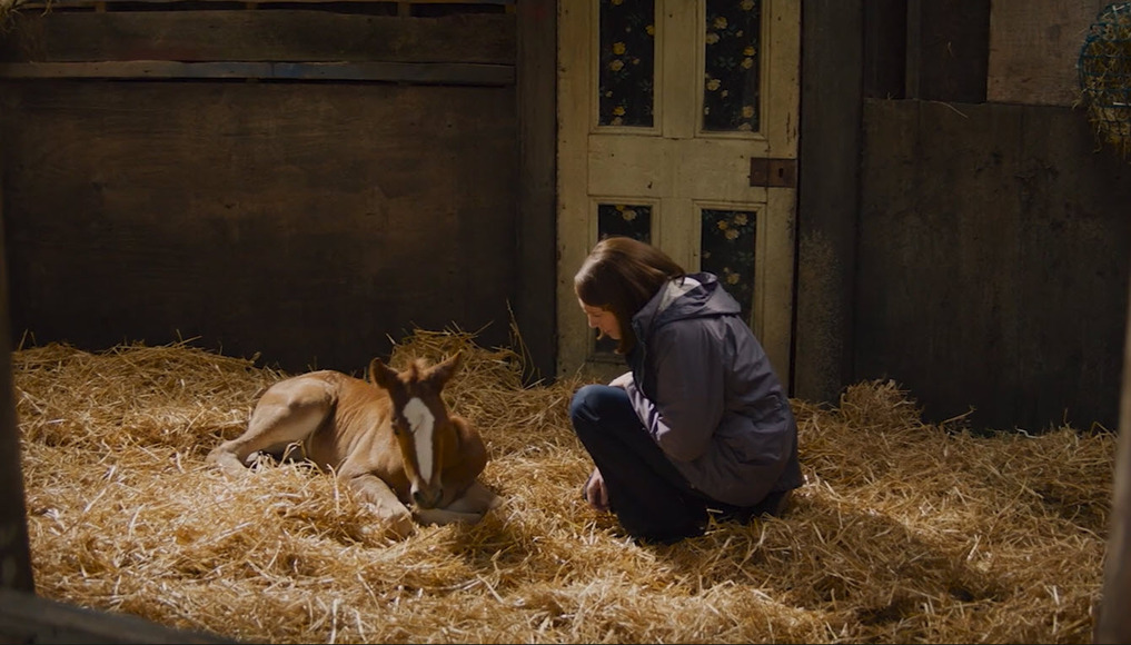 Dream Horse