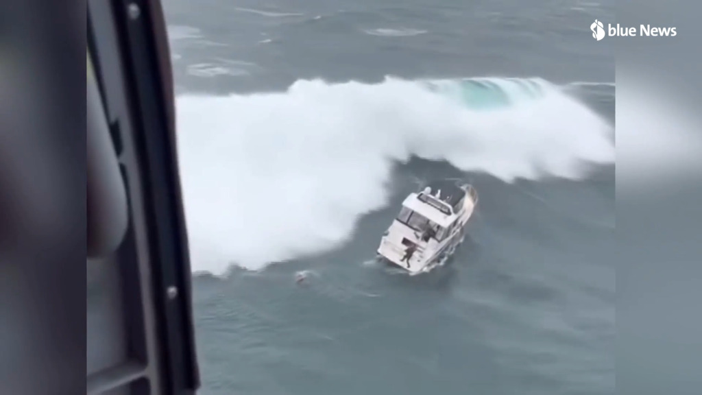 Rettung im letzten Moment: Mann stiehlt Yacht – aber rechnet nicht mit den meterhohen Wellen