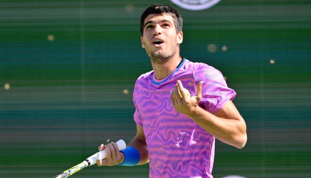 Indian Wells : des centaines d’abeilles perturbent le duel Alcaraz - Zverev