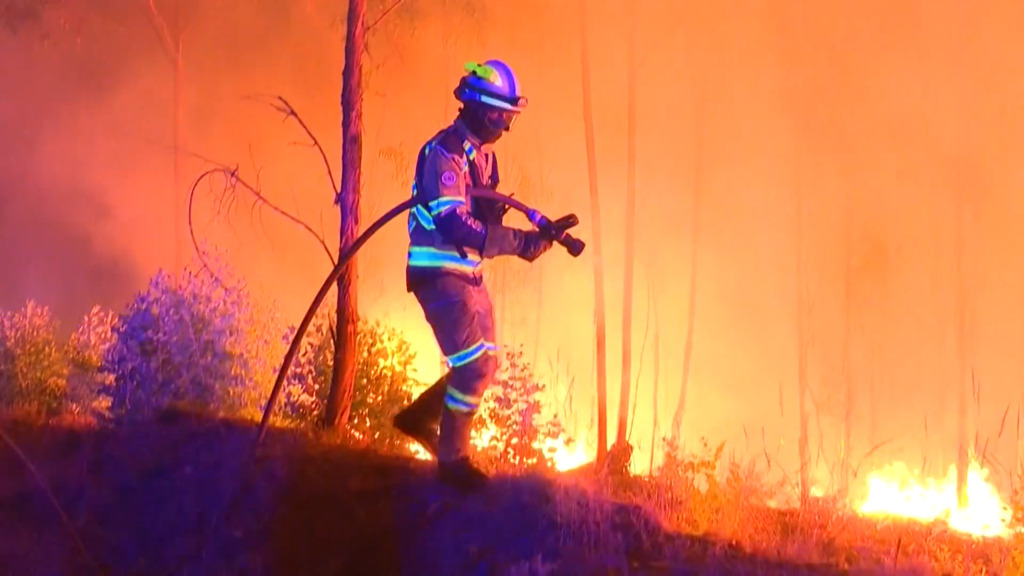 Le Portugal lutte contre plusieurs feux de forêt