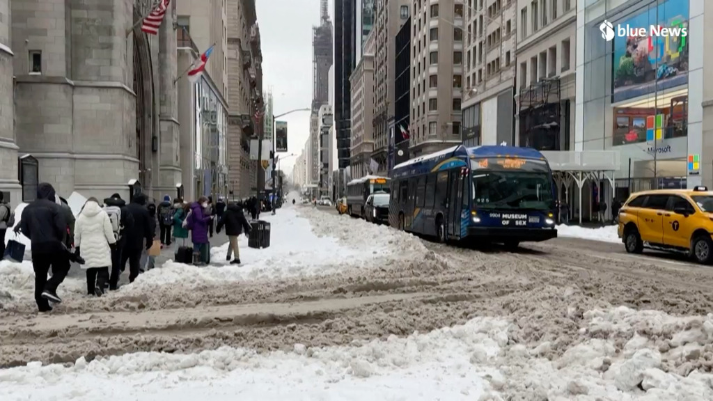 De Brooklyn à Central Park, la neige recouvre New York après une tempête hivernale historique