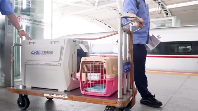 Tiertransport in China