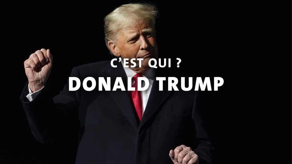 Donald Trump, c'est qui ?