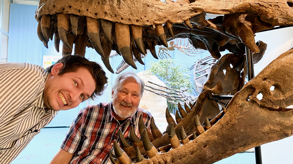 Experte erklärt: So realistisch ist Jurassic Park