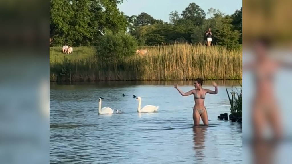 Ausnahmezustand in Grossbritannien: Menschenmassen baden illegal im Naturreservat – Tiere gestresst