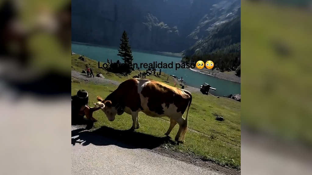 Attacke am Oeschinensee: Influencerin reist durch die Schweiz – und wird von Kuh unangenehm überrascht