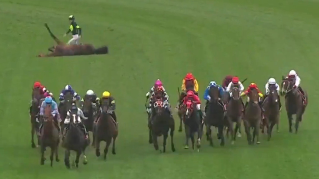 Rennpferd kollabiert: Jockey riskiert seine Sicherheit, um seinem Pferd zu helfen