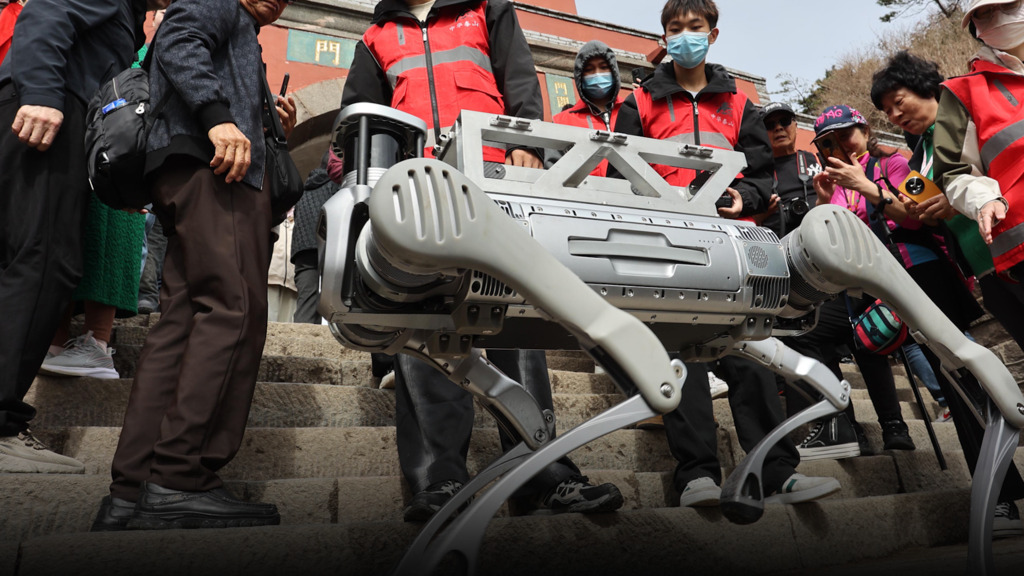 Clevere Lösung gegen Müllberge: So setzt China Roboterhunde als Abfallentsorger ein