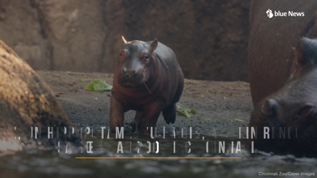 Quand Fritz rencontre pour la 1ère fois sa sœur!
