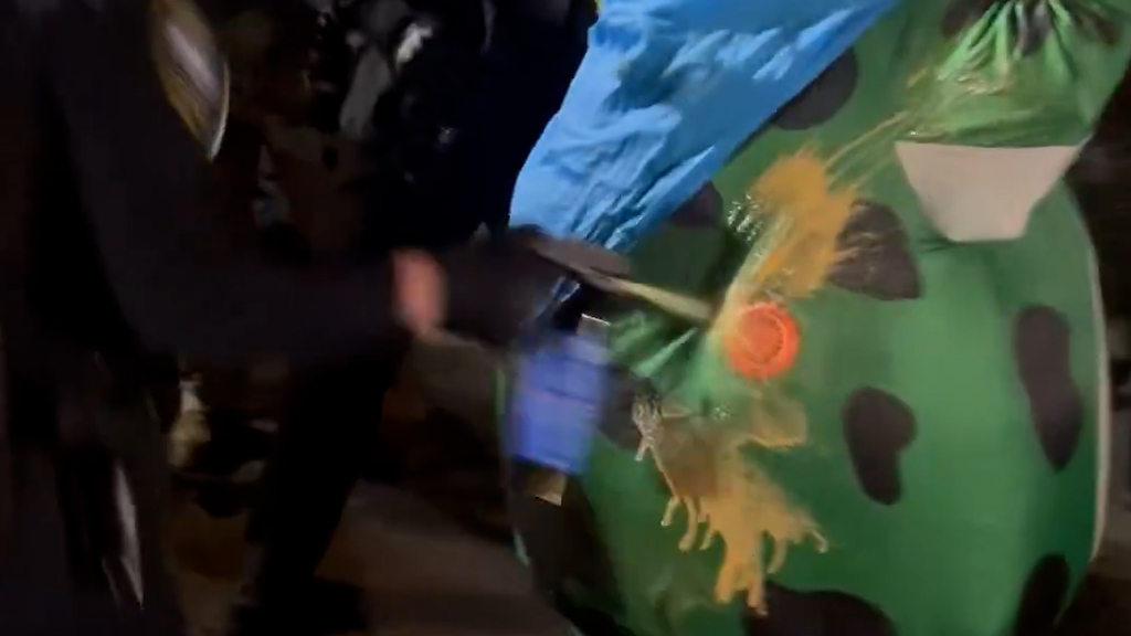 Pfefferspray, ICE-Protest und ein Froschkostüm: «Ich hab schon schärferes gehabt»