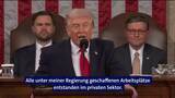 «State of the Union»-Ansprache: Drei Szenen zeigen auf, wie absurd Trumps Rede war