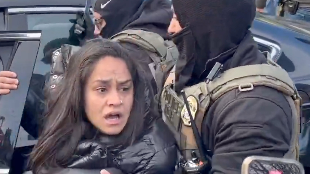 ICE-Agenten zerren Frau aus ihrem Auto