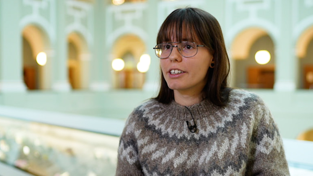 Erdbeben und Vulkanausbrüche // «Wir müssen keine Angst in der Schweiz haben»