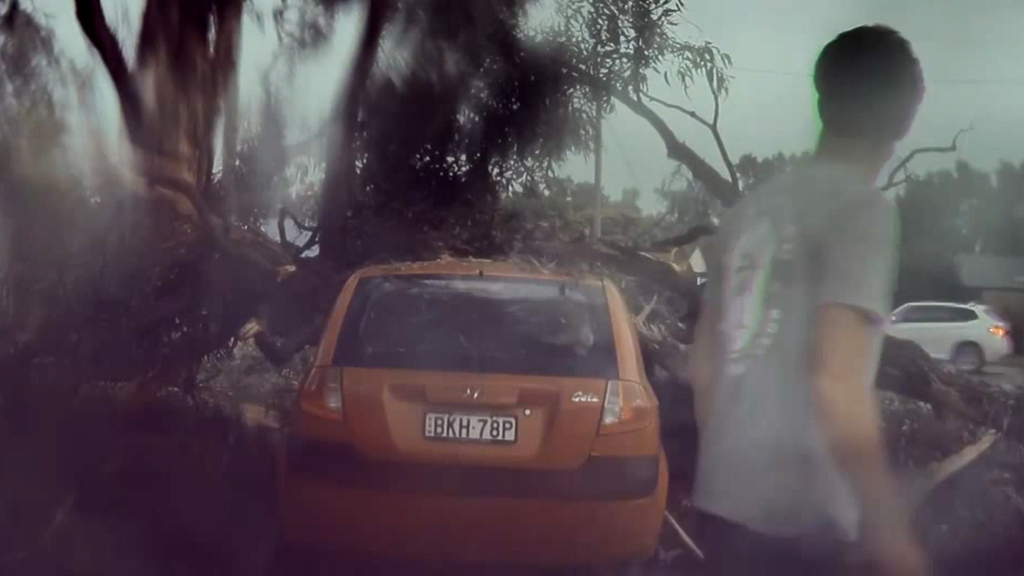 Glück im Unglück: Explodierender Baum zerquetscht Auto von Australier
