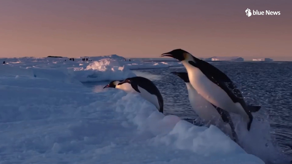 Brrrrrrutal gut – mit diesen Filmtipps bleibst du auch in der Hitze cool