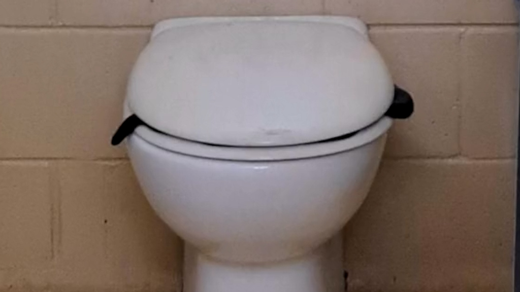 Achtung giftig: In dieser Toilette lauert eine böse Überraschung