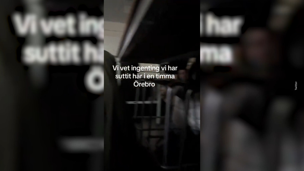 Cinq personnes touchées par des tirs dans une école