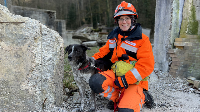 Suchhunde im Training: «Ist das verschüttete Opfer gefunden, bellt und scharrt sie»