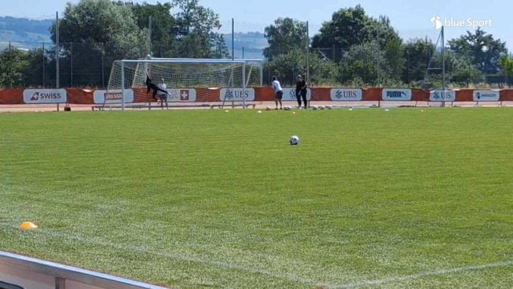 Peng mit schöner Flugeinlage im Training
