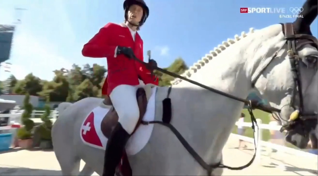 Fuchs flucht nach Fauxpas wie ein Rohrspatz