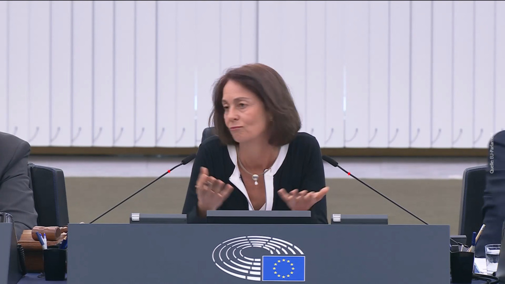 Ultrarechte poltern im EU-Parlament