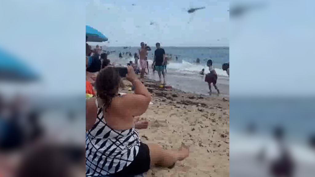 Chaos am Strand // Badende flüchten vor Libellenschwarm