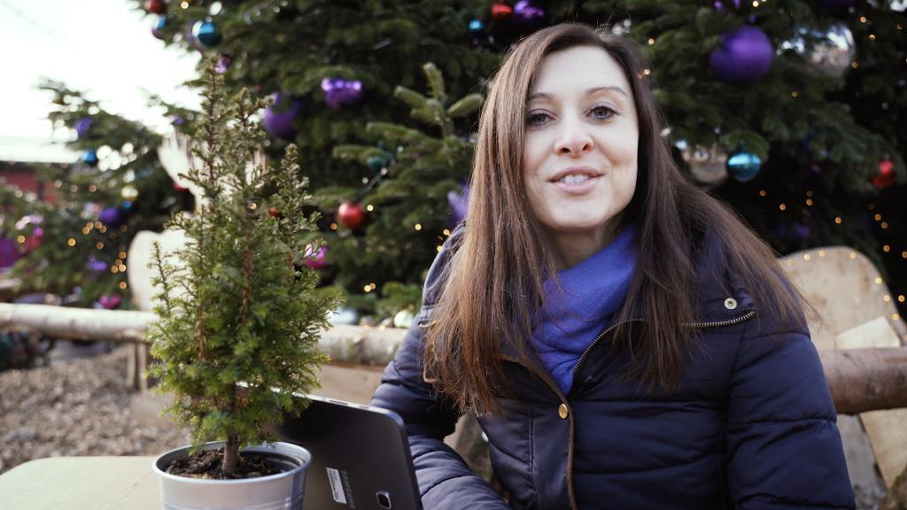 Naturbaum, aus Plastik oder im Topf – welchen würde Greta kaufen?