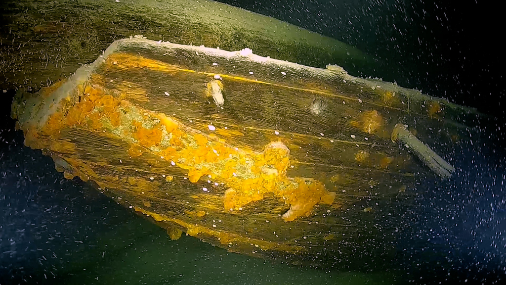 Sensationsfund im Bodensee – Unterwasser-Archäologen entdecken 200 Jahre altes Segelboot