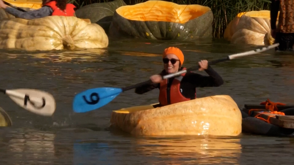 Halloween kann kommen: Im Kürbis-Boot um die Wette