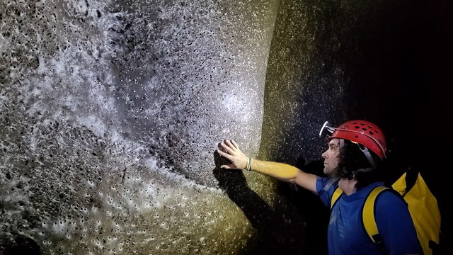 Über 100'000 Tiere: Grösstes Spinnennetz der Welt in Südosteuropa entdeckt