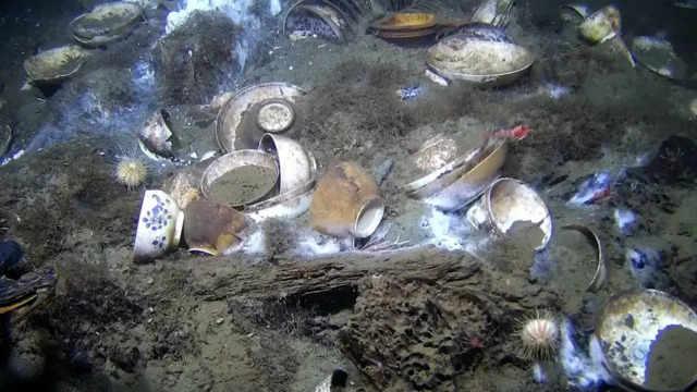Wunder am Meeresgrund – Fast 300 Jahre unberührt – Forscher entdecken Schatzkammer in der Tiefe