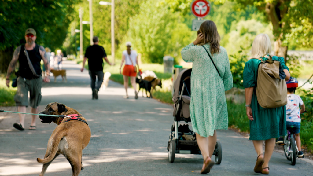 Biker vs. Hundehalter: «Ein Velofahrer schlug meiner Freundin ins Gesicht» – «Es hat einige verrückte Hündeler»