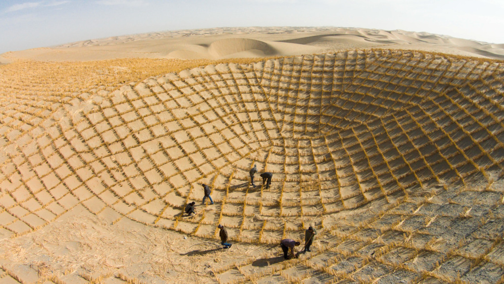 Kampf gegen die Wüste – So wollen China und Afrika ihr Land vor dem Sand retten
