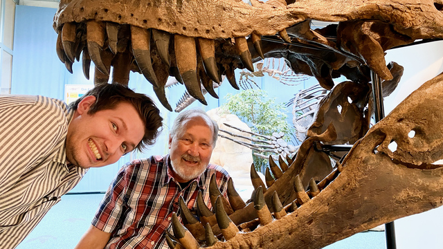 Saurier-Experte klärt auf: «Haben die T-Rex wirklich so ausgesehen?»