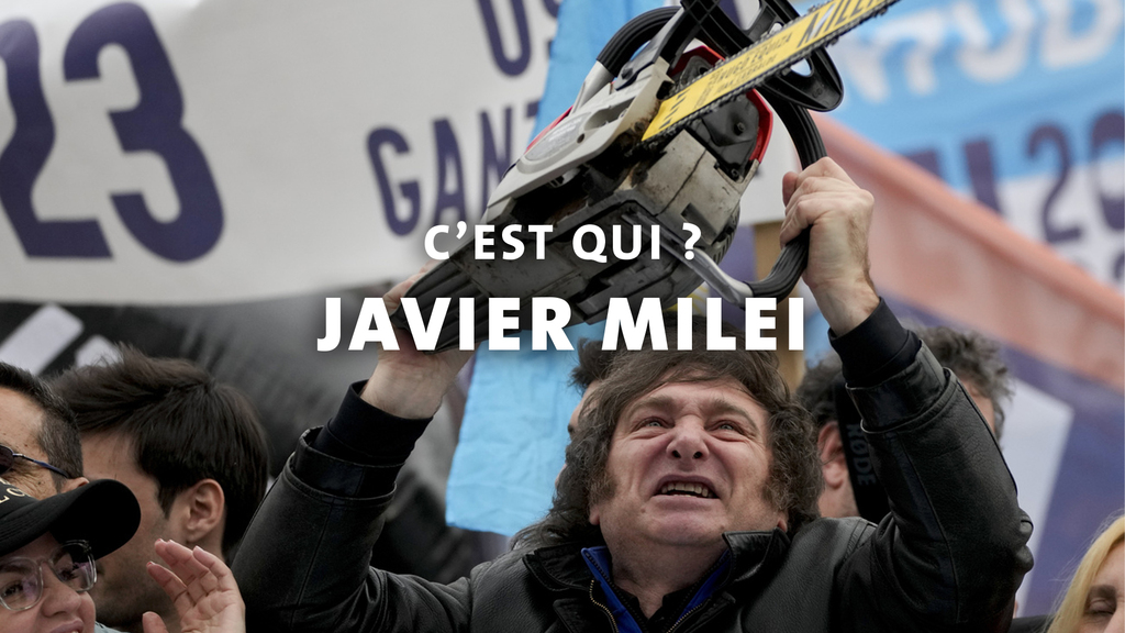 Javier Milei, c'est qui ?