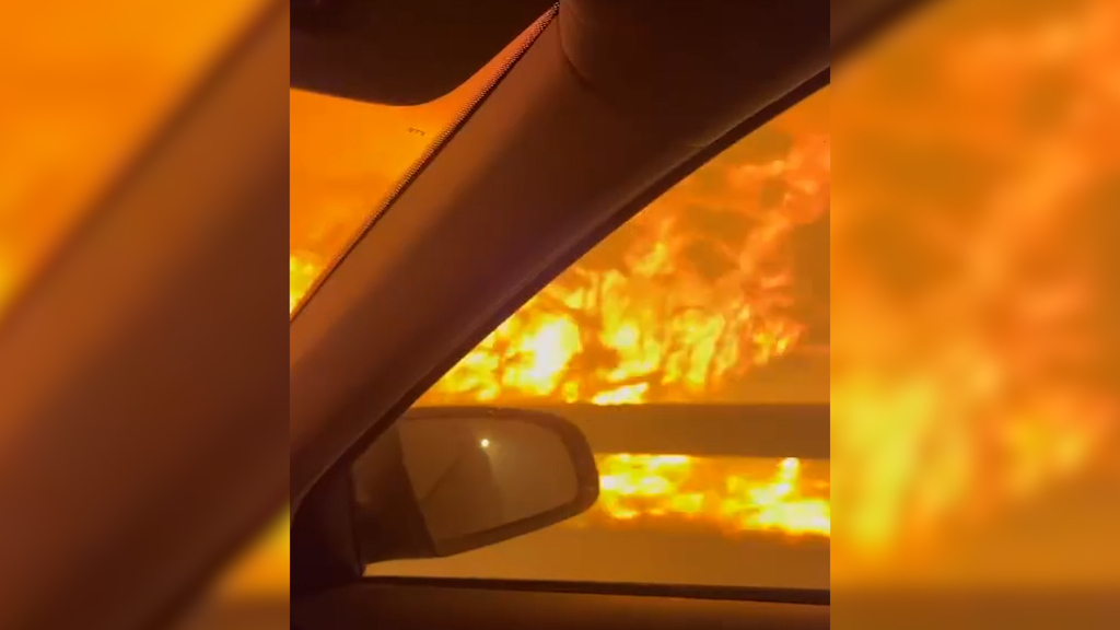 Waldbrand in Portugal Video zeigt Fahrt durch das Flammenmeer blue News