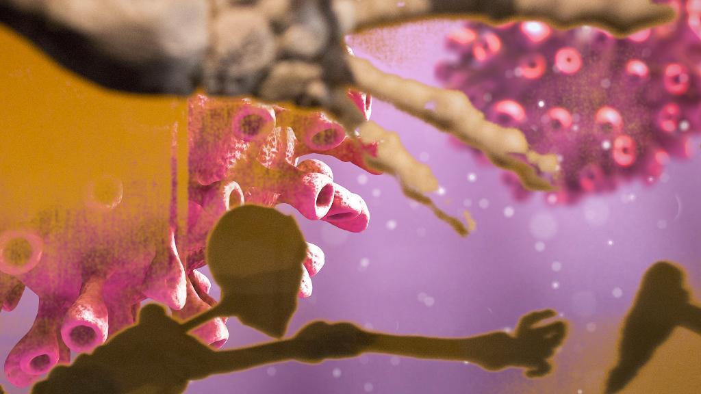 Corona, Ebola, SARS – wie man die Gefährlichkeit eines Virus misst