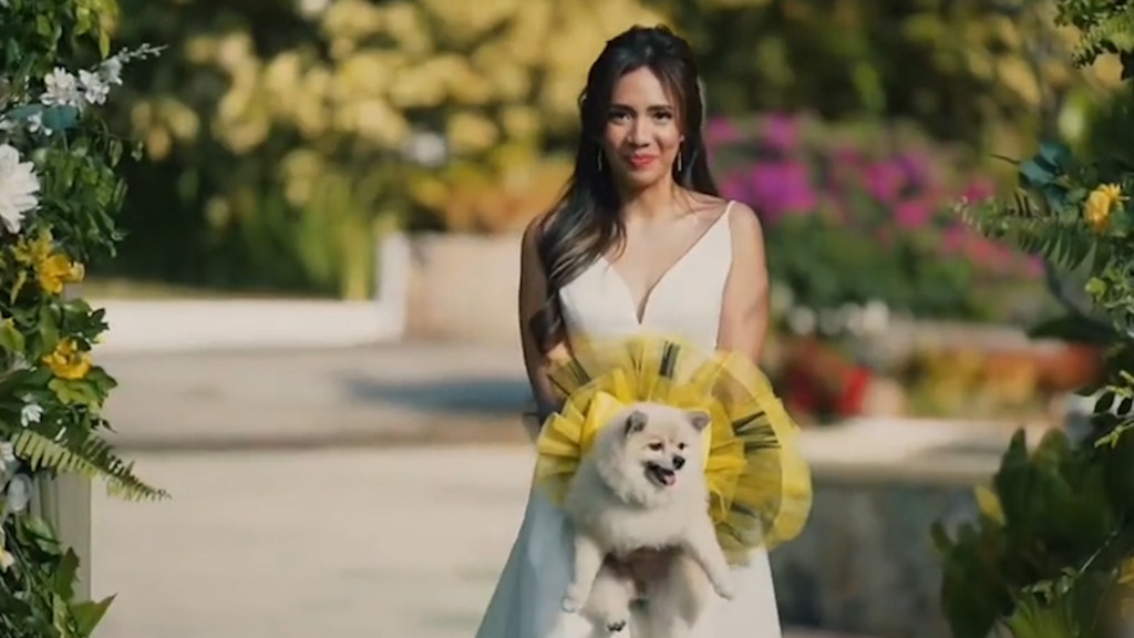 Hund als Blumenstrauss: Brautstrauss vergessen – Zwergspitz Sago springt ein