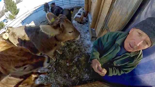 Ein Viehhirte wie aus längst vergangenen Zeiten