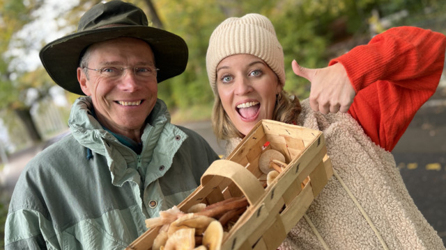 Pilzsuche per App: Wetten, dass das Handy uns vergiften würde?