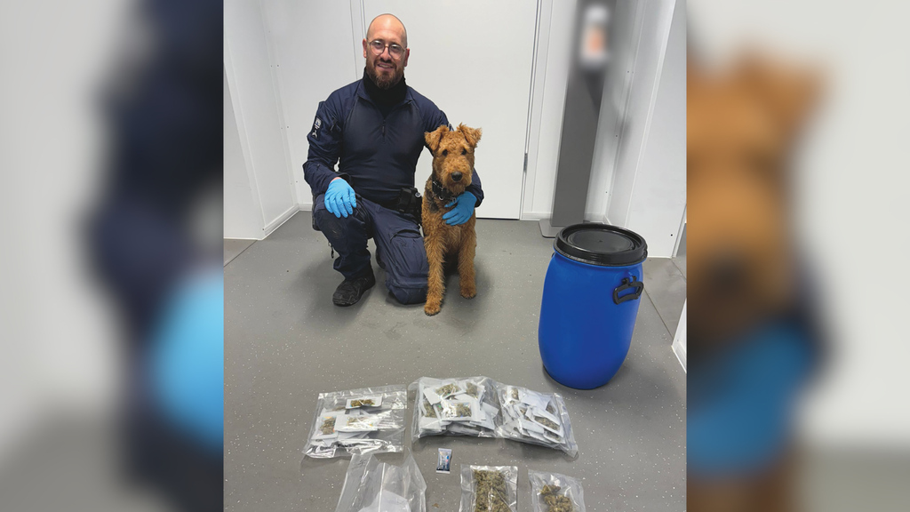 Hund Tarek ist für die Stadtpolizei Zürich im Einsatz