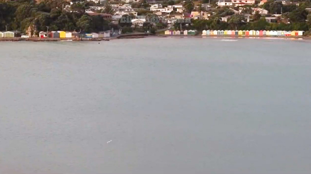 Stärke von 6,1 – Erdbeben erschüttert Neuseeland